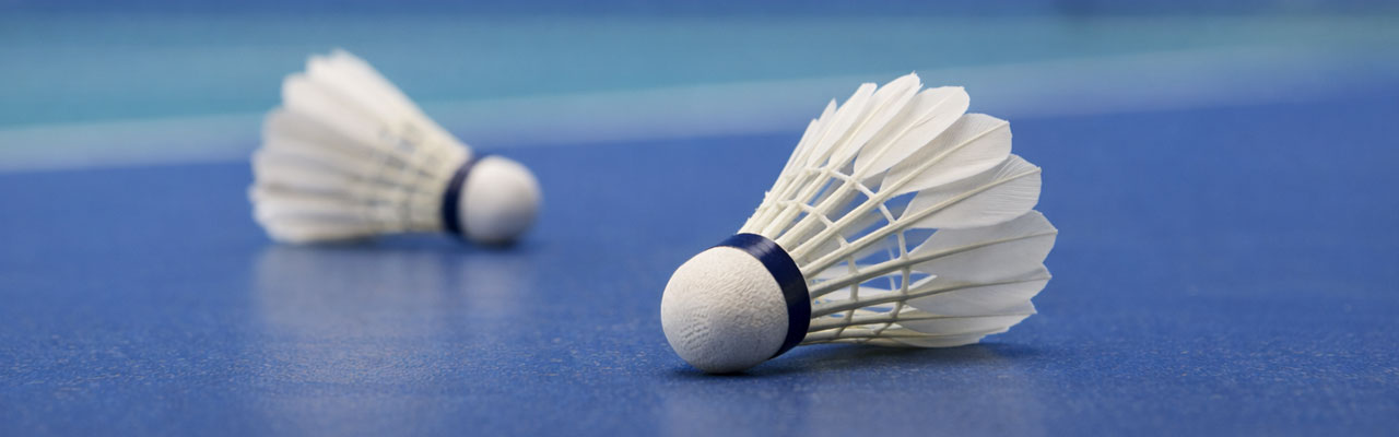 Badminton